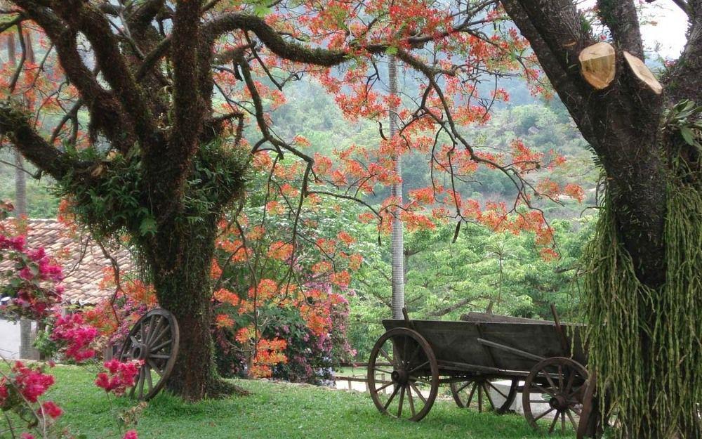 Hotel Cabreuva Resort エクステリア 写真